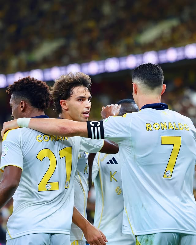 img, 这就是我们 img, 这就是我们